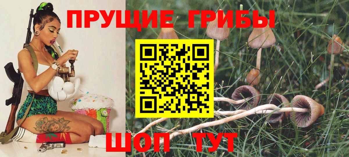 Рассказово  Галлюциногенные грибы Psilocybe  Вход с VPN 